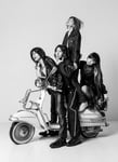 a flood of circle「革命未遂の蝶が見る夢」テイチクオンライン限定盤ジャケット