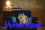 My Hair is Bad「青いソファの上で」ミュージックビデオより。