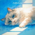 seiza「Cattitude」ジャケット