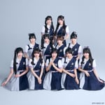 可憐なアイボリー