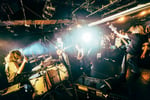 シベリアンハスキー「痺れに来いツアー」の様子。（Photo by 池田彩音）