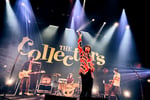 THE COLLECTORS（撮影：後藤倫人）