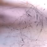 PAS TASTA「LAG」ジャケット