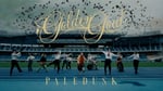 Paledusk「GOLDEN GOAL」ミュージックビデオより。