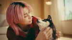 「懐石」の新Web CM「どちらの懐石にしようかワン」編より。