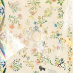 ハク。「煌めき」ジャケット