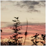 LOLOET「at dusk」配信ジャケット
